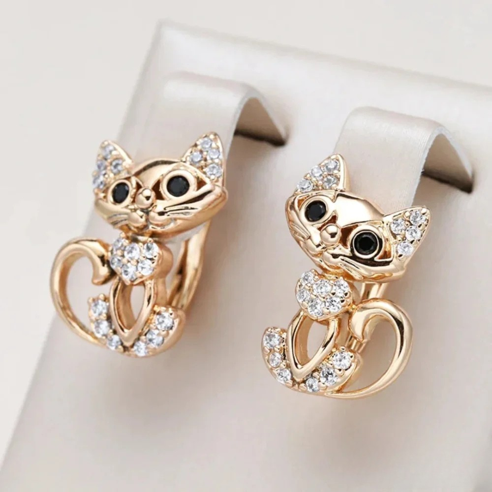Boucles d'oreilles en zirconium élégantes