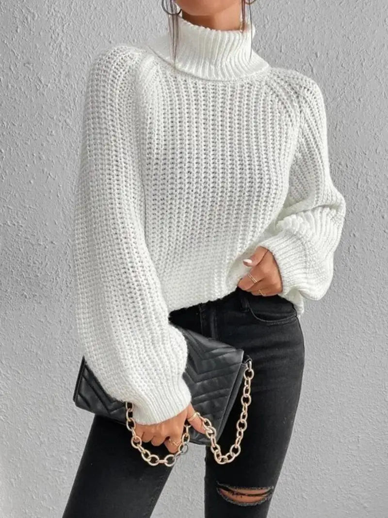 Mia™ - Confortable Pull Col Roulé Long